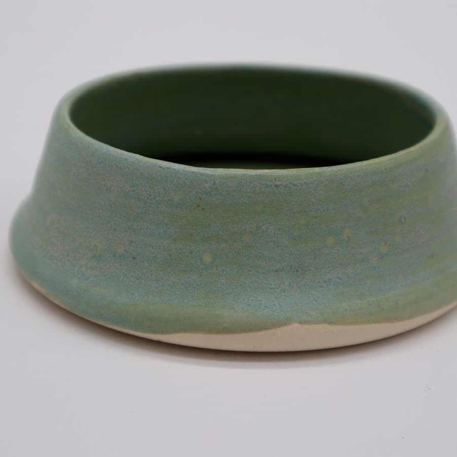 Sage Pet Bowl